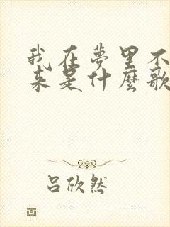 我在梦里不愿醒来是什么歌封面