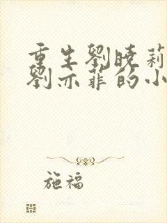 重生刘晓莉收了刘亦菲的小说