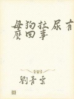 母狗拉尿有血怎么回事