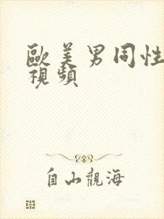 欧美男同性恋的视频