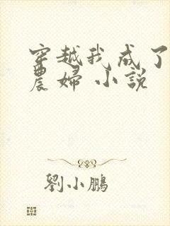 穿越我成了已婚农妇 小说