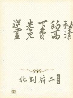 逆光下的秘密漫画免费高清封面