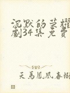 沉默的荣耀电视剧34集免费观看