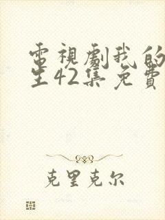 电视剧我的后半生42集免费观看封面