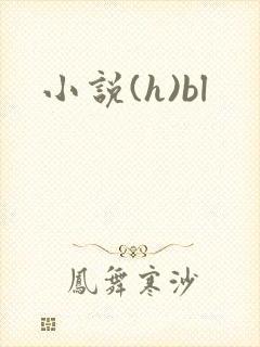小说(h)bl