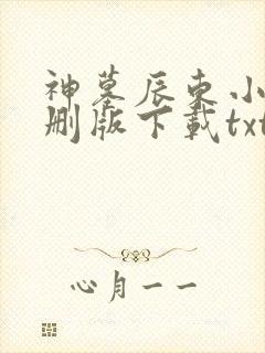神墓辰东小说未删版下载txt