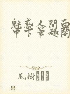 魅惑人间白洁上中下笔趣阁封面