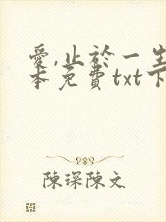 爱,止于一生全本免费txt下载封面