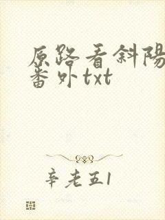 原路看斜阳全文番外txt封面