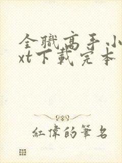 全职高手小说txt下载完本