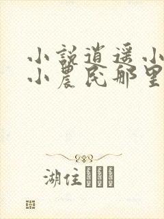 小说逍遥小农夫小农民那里可以看