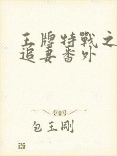 王牌特战之军少追妻番外