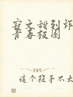 宠文甜到炸无虐青春校园封面