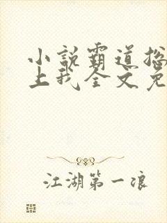 小说霸道总裁爱上我全文免费阅读