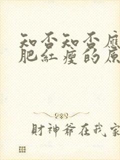 知否知否应是绿肥红瘦的原著叫什么