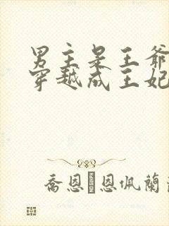 男主是王爷女主穿越成王妃封面