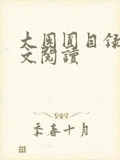 大团圆目录及全文阅读封面