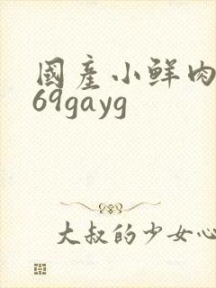 国产小鲜肉1069gayg封面