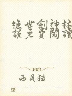 绝世剑神林辰小说免费阅读