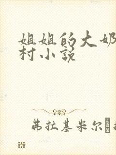 姐姐的大奶子乡村小说