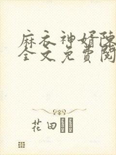 麻衣神婿陈黄皮全文免费阅读封面