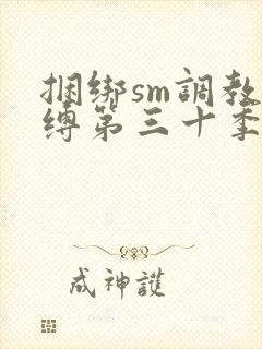 捆绑sm调教束缚第三十季