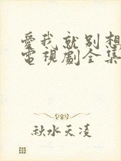 爱我就别想太多电视剧全集免费播放封面