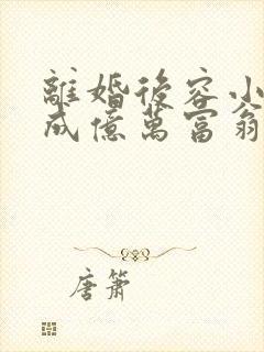 离婚后容小姐她成亿万富翁了容辞