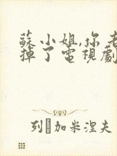 苏小姐,你老公掉了电视剧