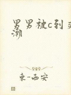 男男被c到爽高潮