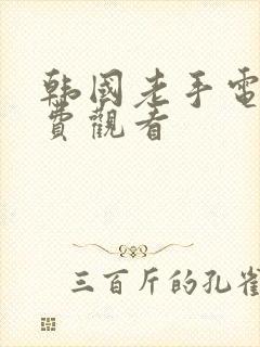 韩国老手电影免费观看封面