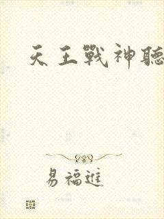天王战神听小说封面