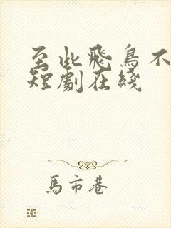 至此飞鸟不相逢短剧在线