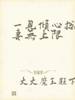 一见倾心总裁宠妻无上限封面