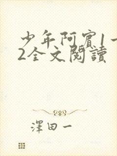 少年阿宾1一72全文阅读