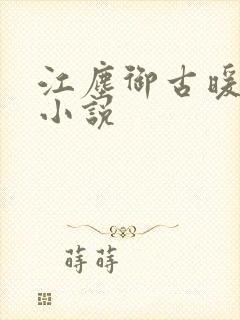 江尘御古暖暖的小说封面