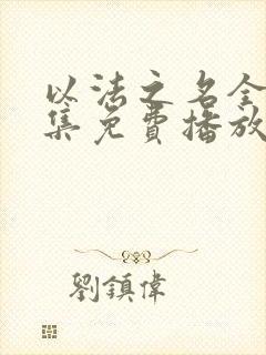 以法之名全36集免费播放电视剧下载封面