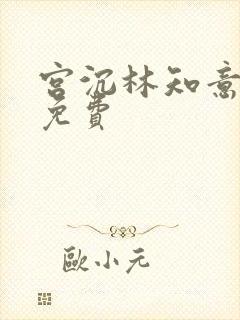 宫沉林知意小说免费