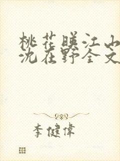 桃花映江山原著沈在野全文免费阅读大结局免封面