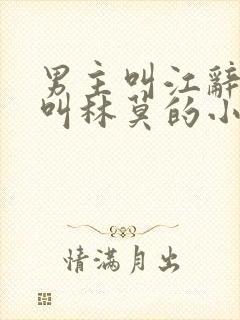 男主叫江辞女主叫林莫的小说