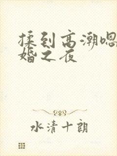 揉到高潮嗯啊新婚之夜