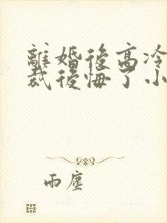 离婚后高冷女总裁后悔了小说阅读封面