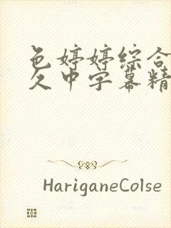 色婷婷综合久久久中字幕精品久久封面