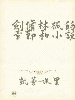 剑修林枫的最新章节和小说推荐