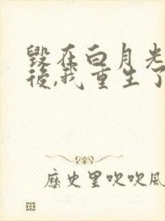 毁在白月光手上后,我重生了