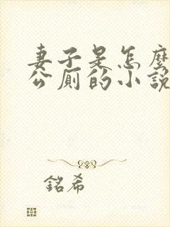 妻子是怎么变成公厕的小说封面