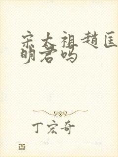 宋太祖赵匡胤是明君吗