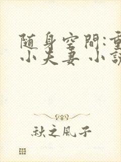 随身空间:重生小夫妻 小说封面