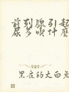 前列腺引起的夜尿多吃什么药