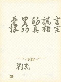 爱里的谎言,仇恨的真相完整版